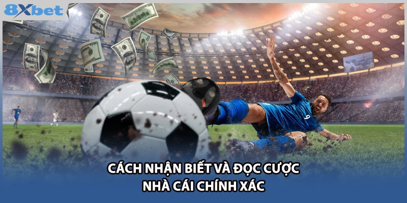 Cách nhận biết và đọc cược  nhà cái chính xác 