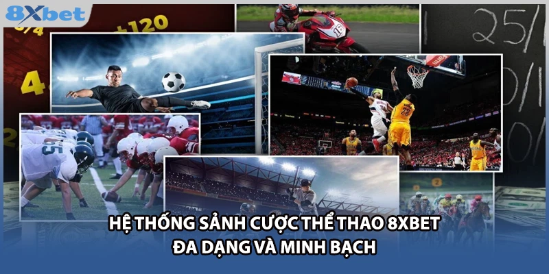 Hệ thống sảnh cược thể thao 8xbet đa dạng và minh bạch