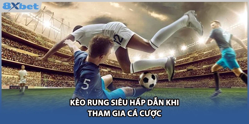Kèo rung siêu hấp dẫn khi tham gia cá cược