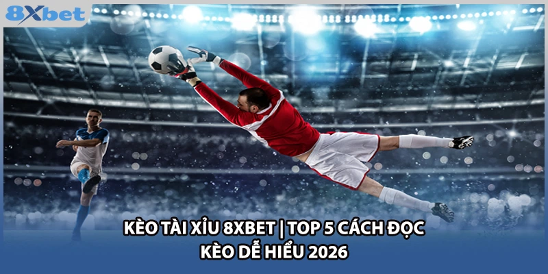 Kèo Tài Xỉu 8xbet | Top 5 Cách Đọc Kèo Dễ Hiểu 2026