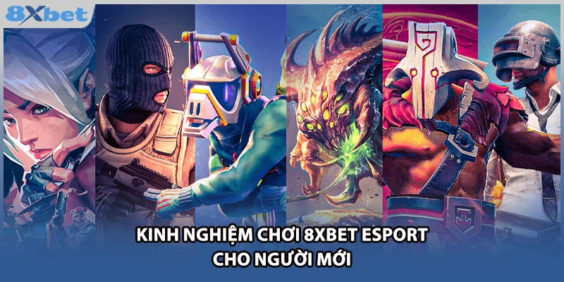 Kinh nghiệm chơi 8xbet esport  cho người mới