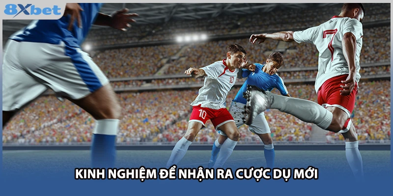 Kinh nghiệm để nhận ra cược dụ mới