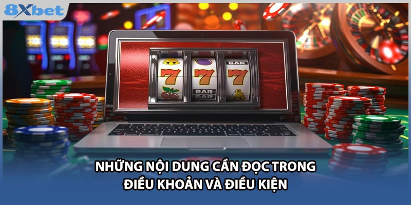Những nội dung cần đọc trong điều khoản và điều kiện