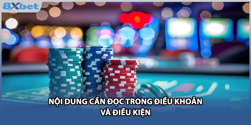 Nội dung cần đọc trong điều khoản và điều kiện