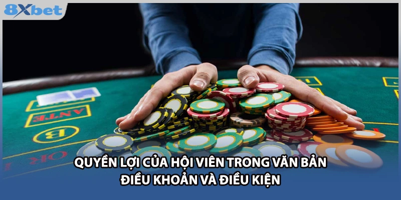Quyền lợi của hội viên trong văn bản Điều khoản và điều kiện