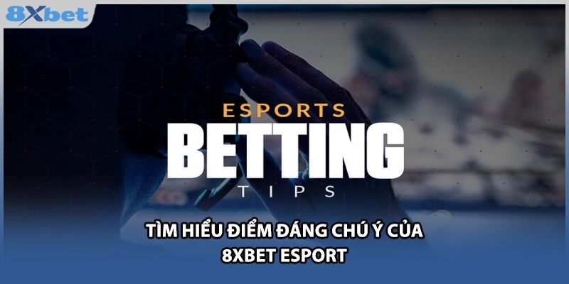 Tìm hiểu điểm đáng chú ý của 8xbet esport 